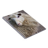 Carnet Moutons drôles (Côté Droit)