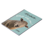 Carnet Moutons les quels indiquent la brebis ? (Côté gauche)