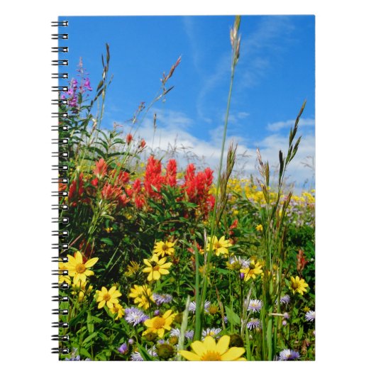 Carnet Mt. Fleur sauvage (Devant)