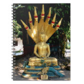 Carnet Mucalinda (Devant)