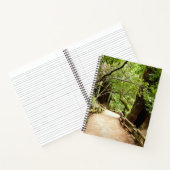 Carnet Muir Woods Path II Nature Photography (Intérieur)