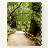 Carnet Muir Woods Path II Nature Photography (Dos)