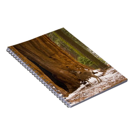 Carnet Mule Deer (Côté Droit)