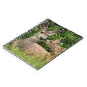 Carnet Mule Deer Doe avec Fawn (Côté gauche)