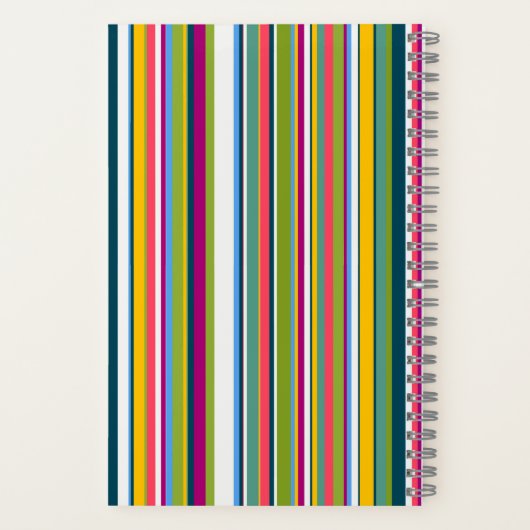 Carnet Multicolour Vertical Striped notebook  (Verso)
