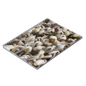 Carnet Mung Les Haricots (Côté gauche)