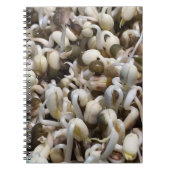 Carnet Mung Les Haricots (Devant)