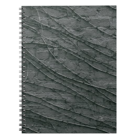 Carnet Mur de brique peinte en gris (Devant)