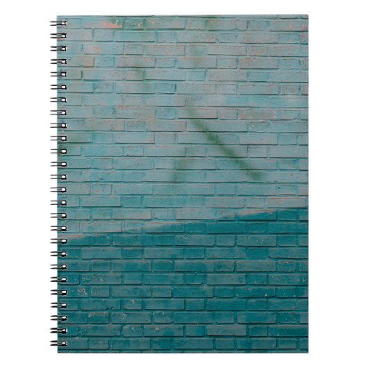 Carnet Mur en brique bleue et blanche (Devant)