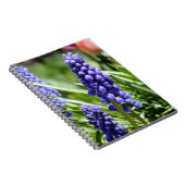 Carnet Muscari (Hyacinthe des raisins) (Côté Droit)
