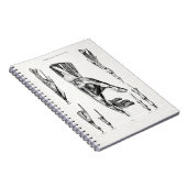 Carnet Muscles d'art Médicale de la main et du poignet (Côté Droit)