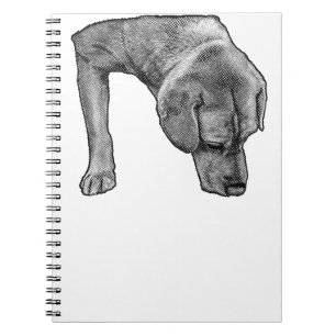 Carnet Muse Dotée Pour Les Notes