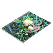 Carnet Mushrooms de l'Oregon (Côté gauche)