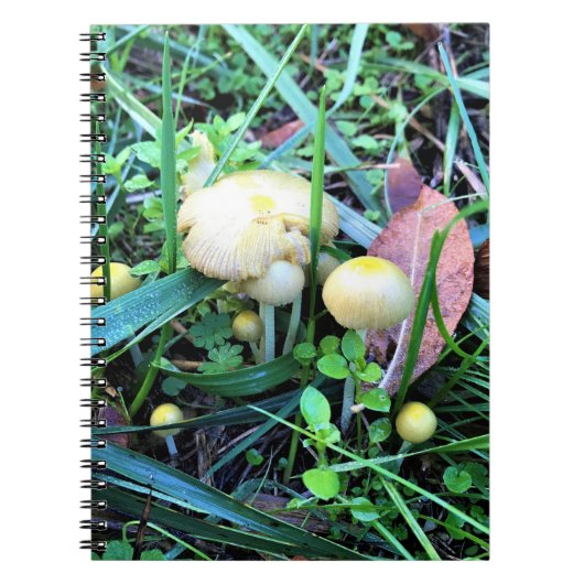 Carnet Mushrooms de l'Oregon (Devant)