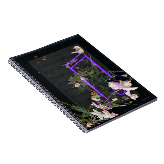 Carnet Musique (Côté Droit)