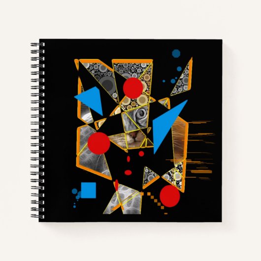 Carnet Mystery Cat (Devant)