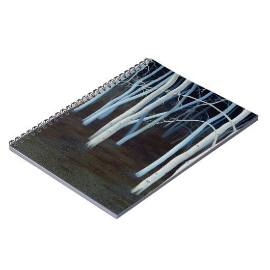 Carnet Mystique 2004 (Côté gauche)