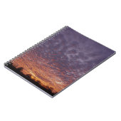 Carnet N.A., États-Unis, Nouveau-Mexique, près de Las Cru (Côté gauche)