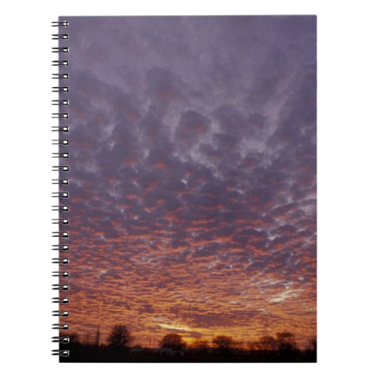 Carnet N.A., États-Unis, Nouveau-Mexique, près de Las Cru (Devant)