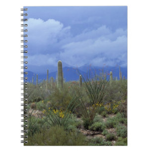 Carnet NA, États-Unis, Arizona, Saguaro National Monument