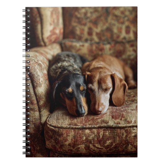 Carnet Nap Confortable Dachshunds (Devant)