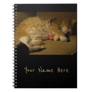 Carnet Nap de chat