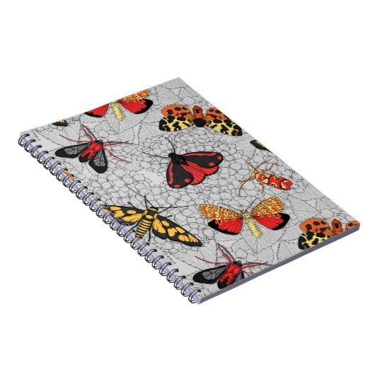 Carnet Nappes phréatiques sur l'hydrangée (Côté Droit)