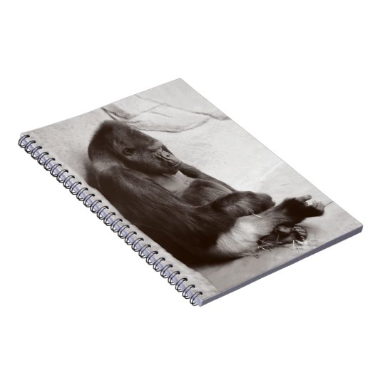 Carnet Napping Gorilla Photo (Côté Droit)