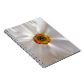 Carnet narcisse blanche perle (Côté Droit)