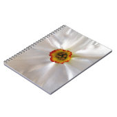 Carnet narcisse blanche perle (Côté gauche)