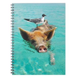 Carnet Natation mignonne de porc dans l'eau