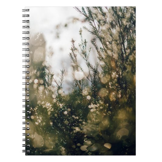 CARNET NATURE (Devant)