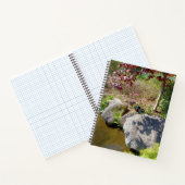Carnet Nature contre Éducation (Intérieur)