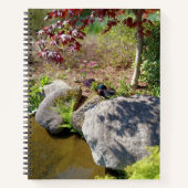 Carnet Nature contre Éducation (Devant)
