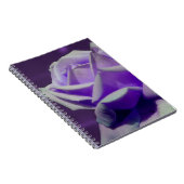 Carnet Nature de la fleur Rose violette (Côté Droit)