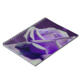 Carnet Nature de la fleur Rose violette (Côté gauche)