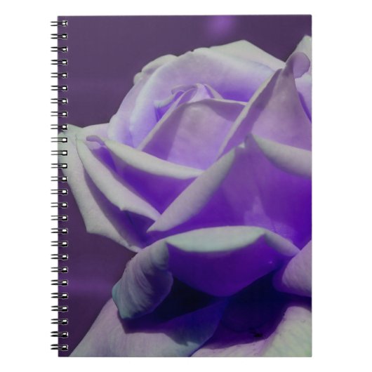 Carnet Nature de la fleur Rose violette (Devant)