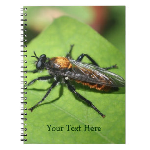 Carnet Nature des insectes volants