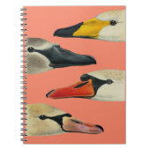 Carnet Nature Les multiples visages d'un cygne (Devant)