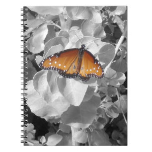 Carnet Nature Orange Monarque Papillon Photo Black White