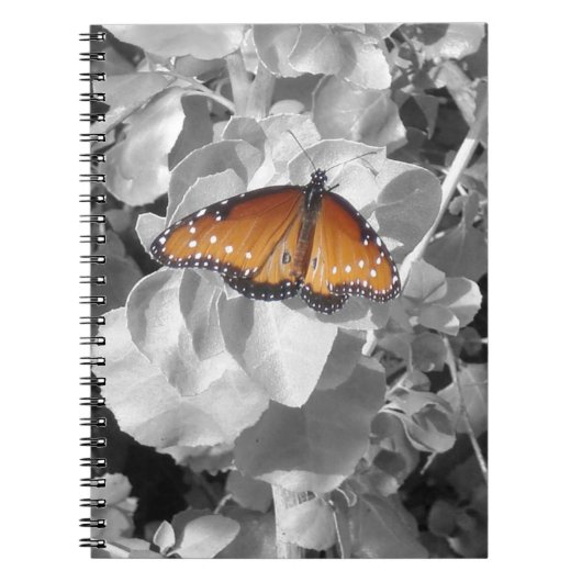 Carnet Nature Orange Monarque Papillon Photo Black White (Devant)