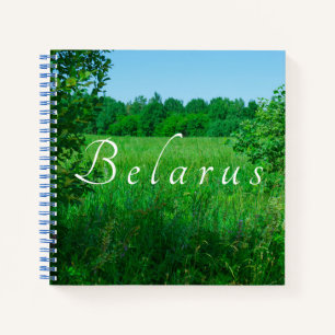 Carnet Nature Paysage Paysage Paysage Forêt verte