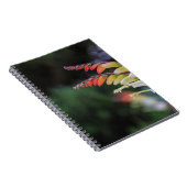 Carnet Naturel (Côté Droit)