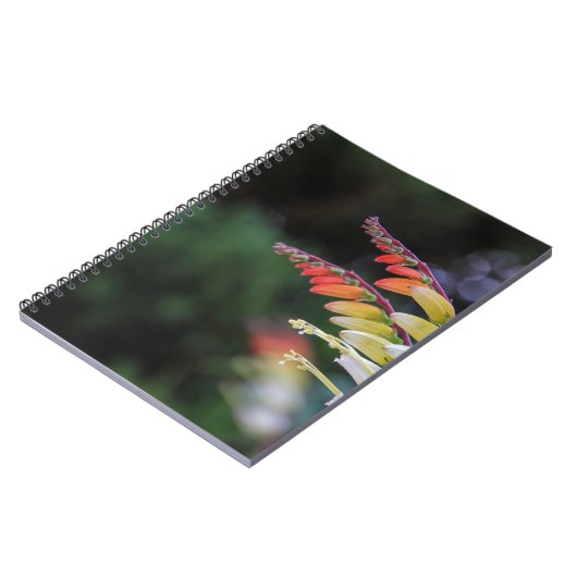 Carnet Naturel (Côté gauche)