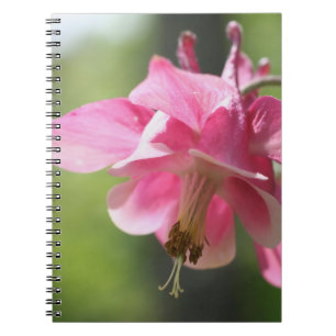 Carnet naturel de la fleur de Colombine rose