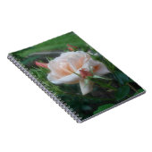 Carnet naturel Rose de pêche (Côté Droit)