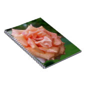 Carnet naturel Rose de Pêche en marmite (Côté Droit)