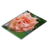 Carnet naturel Rose de Pêche en marmite (Côté gauche)