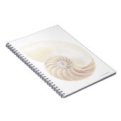 Carnet Nautilus Shell (Côté Droit)