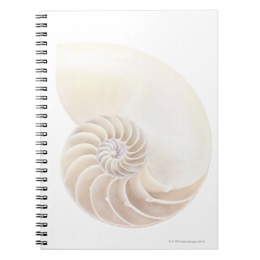 Carnet Nautilus Shell (Devant)